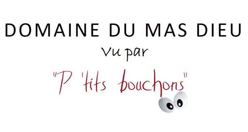 LOGO LES PTI BOUCHON