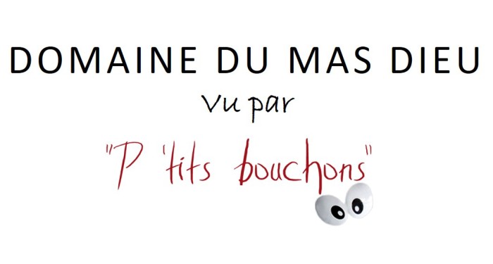 LOGO LES PTI BOUCHON