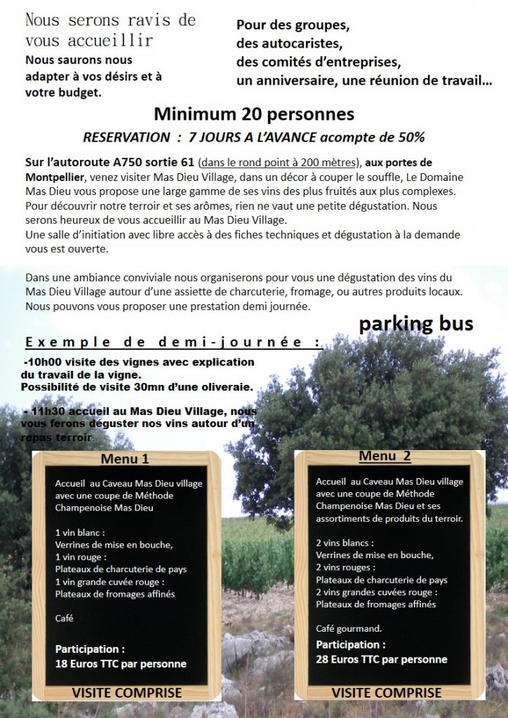 Présentation fiche groupe sur site