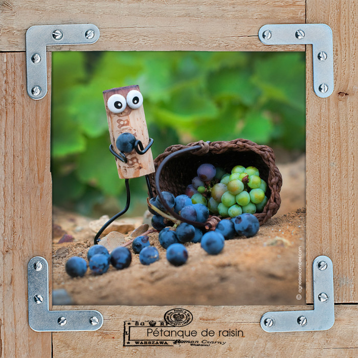 Pétanque de raisin