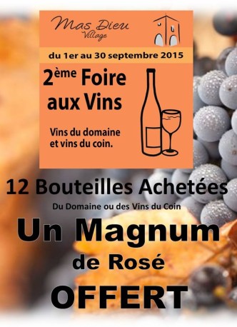 foire aux vins